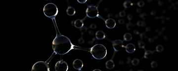 Paints & Coatings Banner